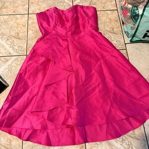 Adrianna Papell Fuchsia Dress